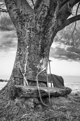 Lovetree / Schwarz-weiss  Fotografie von Fotograf FotosmitAtmosphäre | STRKNG