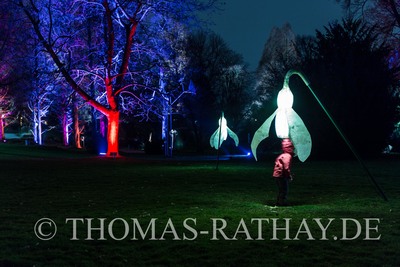 Winterlichter im Mannheimer Luisenpark / Nacht  Fotografie von Fotograf Thomas Rathay PhotoDesign | STRKNG