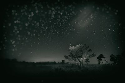 Venner Moor @ Night + Wetplate / Landscapes  Fotografie von Fotograf cha0skarsten ★1 | STRKNG