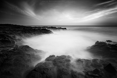 palmar / Black and White  photography by Photographer Raico Rosenberg ★1 | STRKNG