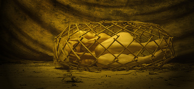 das Leben im goldenen Käfig (Life in the golden cage) / Nude  Fotografie von Fotograf TOR 61 ★2 | STRKNG