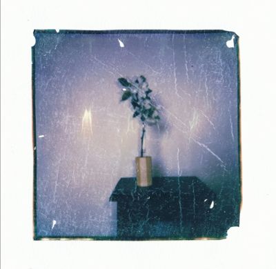 Apfelblüte / Instant Film  photography by Photographer KoraS ★16 | STRKNG