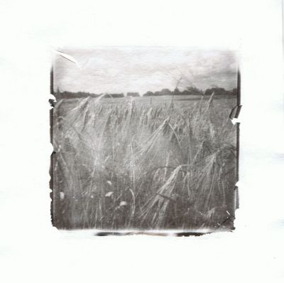 es war Sommer... / Instant-Film  Fotografie von Fotografin KoraS ★16 | STRKNG