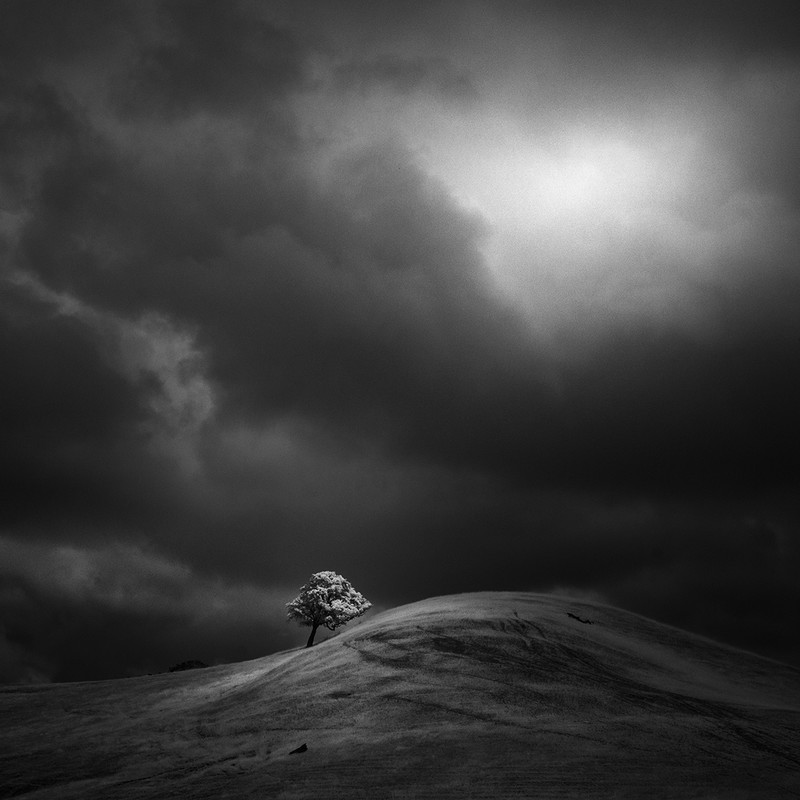 tree and hill - &copy; Nathan Wirth | Landscapes