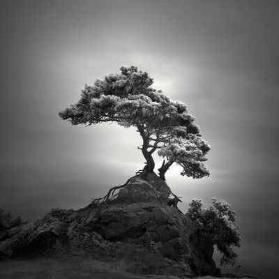 ishizuki / Schwarz-weiss  Fotografie von Fotograf Nathan Wirth ★16 | STRKNG