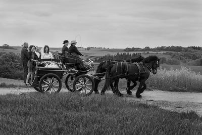 Hochzeitskutsche / Hochzeit  Fotografie von Fotograf Christian Kaiser Professsional Photographer, Hamburg | STRKNG