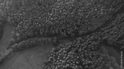 Straße im Wald / Schwarz-weiss  Fotografie von Fotograf Christian Kaiser Professsional Photographer, Hamburg | STRKNG