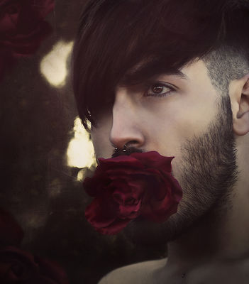 The rose / Portrait  Fotografie von Fotograf Lucianabel | STRKNG