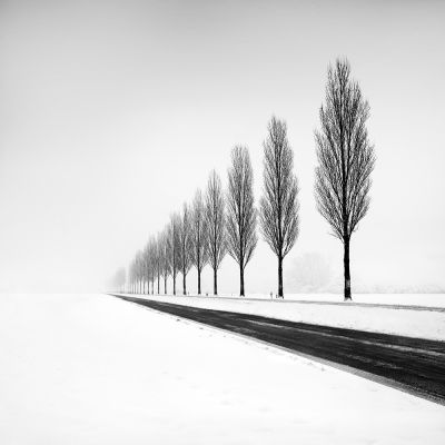 straße im schnee / Landscapes  Fotografie von Fotograf Thomas Bichler ★30 | STRKNG