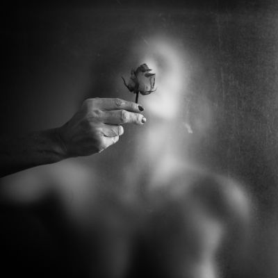 the rose / Konzeptionell  Fotografie von Fotografin Schiwa Rose ★28 | STRKNG