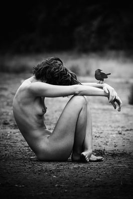 where the birds fly / Nude  Fotografie von Fotografin Schiwa Rose ★27 | STRKNG