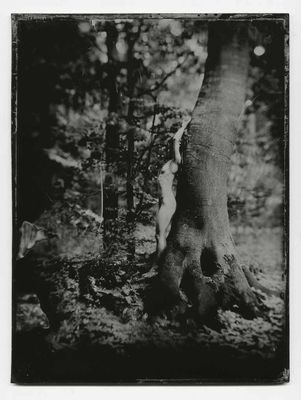 ...im Urwald....mit dem Wald verbunden... / Nude  Fotografie von Fotograf platinum O. ★5 | STRKNG