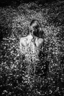 Flower Field / Natur  Fotografie von Fotografin WeirdView ★3 | STRKNG