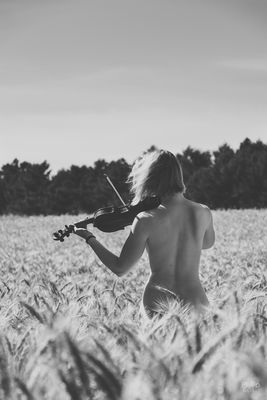 Harmonie / Black and White  photography by Photographer photopherapy | STRKNG