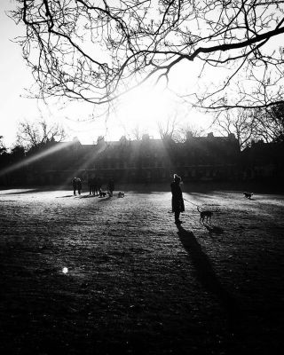 Frosty morning / People  photography by Photographer Henry Gush | STRKNG