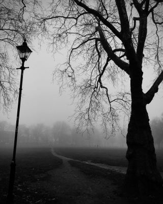 &quot;Through the misty morning I'll come following you&quot; / Landscapes  photography by Photographer Henry Gush | STRKNG
