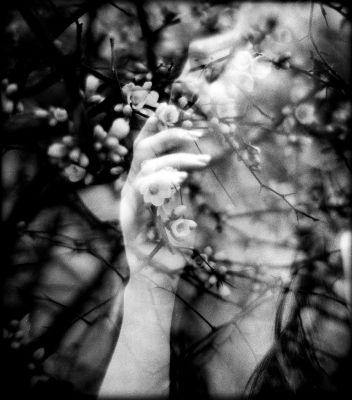 Veiled Beginnings / Portrait  Fotografie von Fotograf olaf radcke ★9 | STRKNG