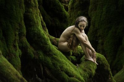 Moos / Natur  Fotografie von Fotograf Christian Meier ★9 | STRKNG