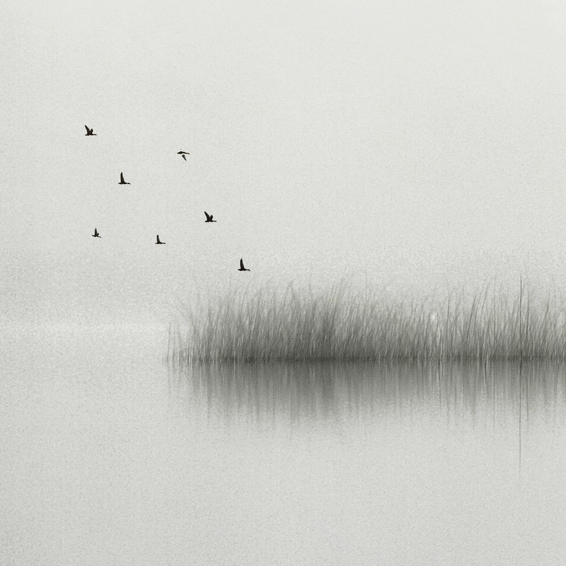 tristesse - &copy; Renate Wasinger | Landscapes