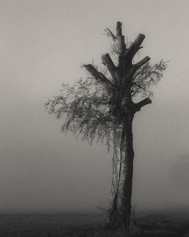 new beginning - &copy; Renate Wasinger | Schwarz-weiss