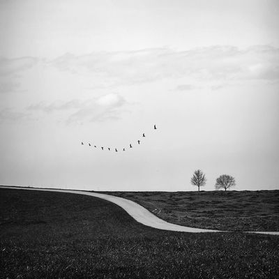 eleven birds / Landscapes  Fotografie von Fotografin Renate Wasinger ★38 | STRKNG