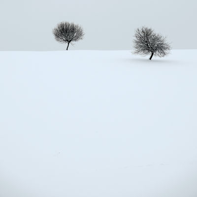 quiet winter / Landscapes  Fotografie von Fotografin Renate Wasinger ★37 | STRKNG