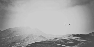 somewhere / Black and White  photography by Photographer Renate Wasinger ★35 | STRKNG