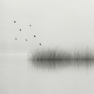 tristesse / Landscapes  Fotografie von Fotografin Renate Wasinger ★39 | STRKNG