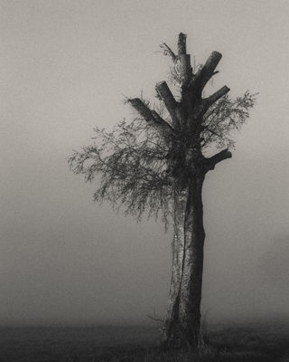 new beginning / Black and White  photography by Photographer Renate Wasinger ★37 | STRKNG