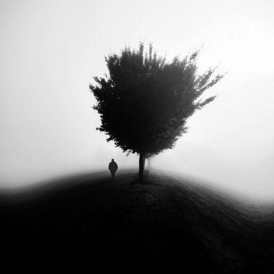 on a still day / Schwarz-weiss  Fotografie von Fotografin Renate Wasinger ★37 | STRKNG