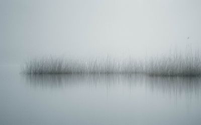 silence at the lake / Landscapes  Fotografie von Fotografin Renate Wasinger ★39 | STRKNG