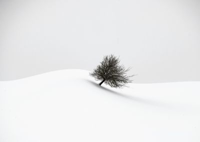 white winter / Landscapes  Fotografie von Fotografin Renate Wasinger ★38 | STRKNG