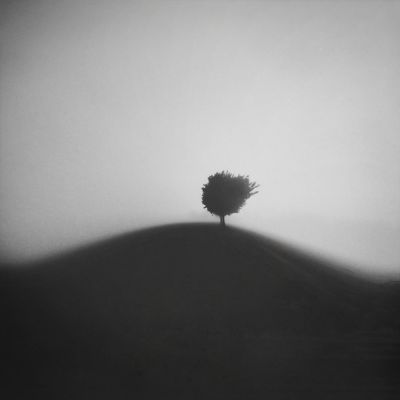 on the hill / Landscapes  Fotografie von Fotografin Renate Wasinger ★37 | STRKNG