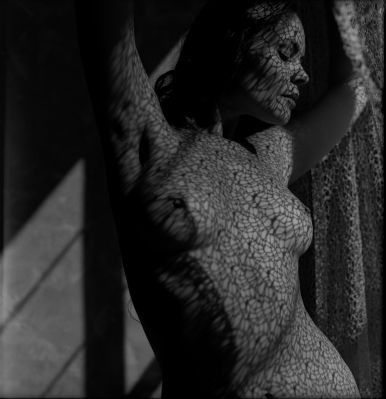 Lace Shadow / Nude  photography by Photographer Dmytro Karev ★5 | STRKNG