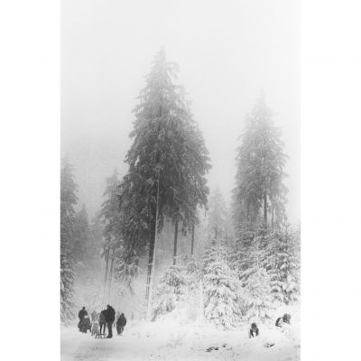 Freeze / Schwarz-weiss  Fotografie von Fotografin Franziska Korries Fotografie ★31 | STRKNG