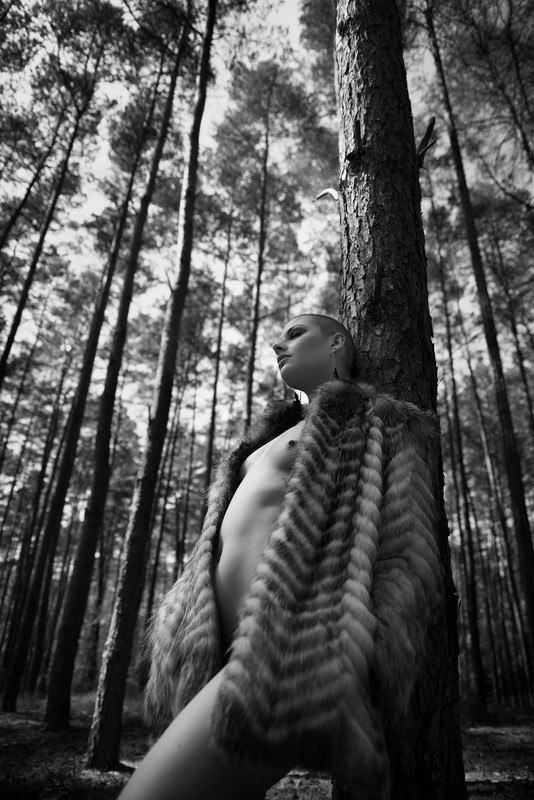 forest - &copy; Axel Correia | Black and White