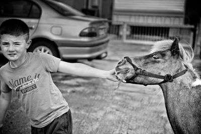 irish travellers / Dokumentation  Fotografie von Fotografin Leslie Niemöller ★3 | STRKNG