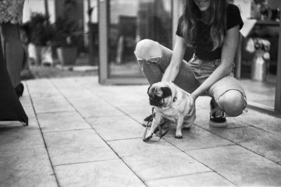 A party without a pug is possible, but meaningless (Plaubel Makina IIIR, Kodak T-Max) / Street  Fotografie von Fotograf LWR.Photography ★1 | STRKNG