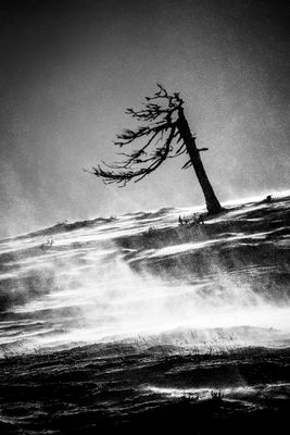 Stormy day in winter / Landscapes  Fotografie von Fotograf bildausschnitte.at ★2 | STRKNG