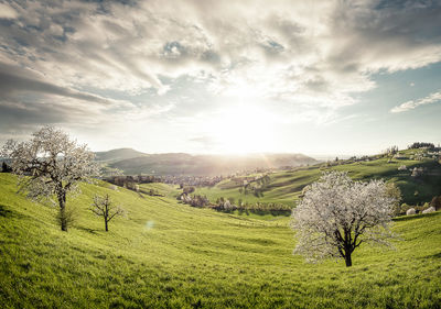 Blust / Landscapes  Fotografie von Fotograf Patrik Walde ★4 | STRKNG