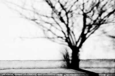 Shadow on the wall / Black and White  photography by Photographer lichtblicke.TIROL | STRKNG