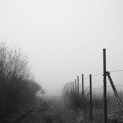 Weg ins Nichts / Path to nowhere / Nature  photography by Photographer trobel | STRKNG