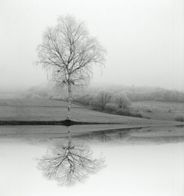 Spiegelung? / Schwarz-weiss  Fotografie von Fotograf trobel | STRKNG