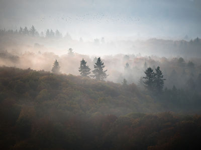 Fall / Landscapes  Fotografie von Fotograf Felix Wesch ★5 | STRKNG