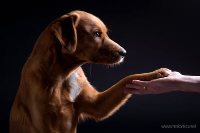 Deeply connected / Tiere  Fotografie von Fotografin Melanka | STRKNG