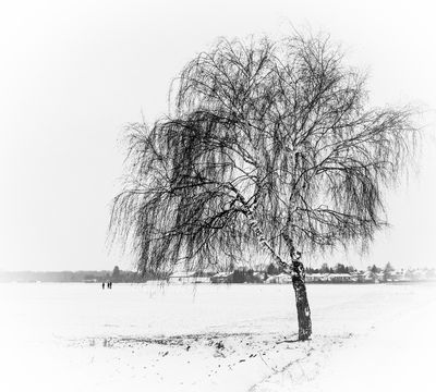 reflectiveness / Schwarz-weiss  Fotografie von Fotograf JMSeibold | STRKNG