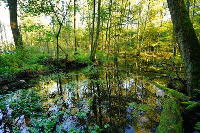 Landscapes  photography by Photographer Dorothea Brandt | STRKNG