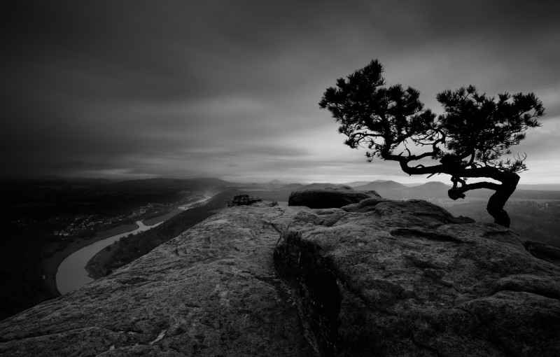 The Old Dead Tree - &copy; Askson Vargard | Black and White