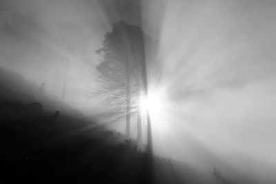 Unknown Pleasures / Black and White  photography by Photographer Askson Vargard | STRKNG