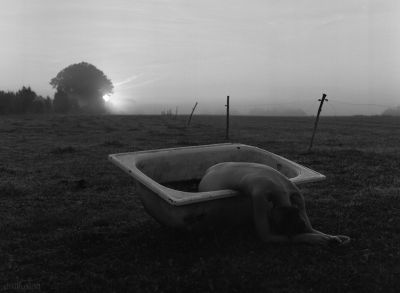 Overflow / Fine Art  Fotografie von Fotograf Disillusion ★15 | STRKNG